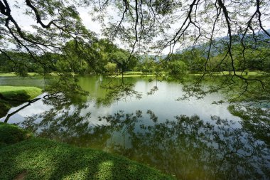 Taiping Gölü Bahçesi, Perak, Malezya manzarası
