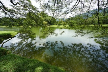 Taiping Gölü Bahçesi, Perak, Malezya manzarası