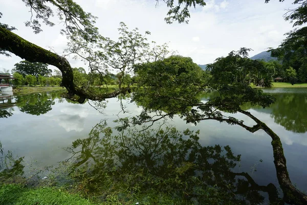 Taiping Gölü Bahçesi, Perak, Malezya manzarası