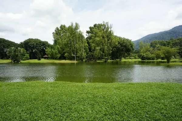 Taiping Gölü Bahçesi, Perak, Malezya manzarası