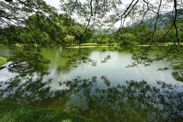 Taiping Gölü Bahçesi, Perak, Malezya manzarası