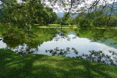 Taiping Gölü Bahçesi, Perak, Malezya manzarası