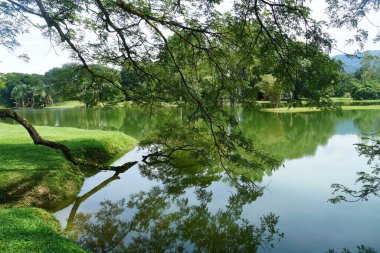Taiping Gölü Bahçesi, Perak, Malezya manzarası