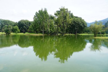 Taiping Gölü Bahçesi, Perak, Malezya manzarası