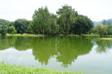 Taiping Gölü Bahçesi, Perak, Malezya manzarası