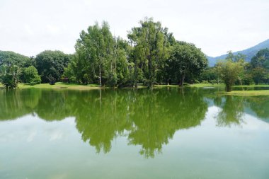 Taiping Gölü Bahçesi, Perak, Malezya manzarası