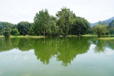 Taiping Gölü Bahçesi, Perak, Malezya manzarası