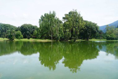 Taiping Gölü Bahçesi, Perak, Malezya manzarası