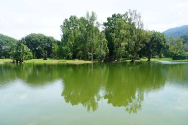 Taiping Gölü Bahçesi, Perak, Malezya manzarası