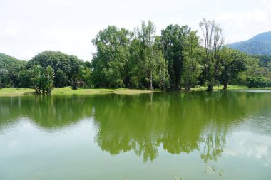 Taiping Gölü Bahçesi, Perak, Malezya manzarası