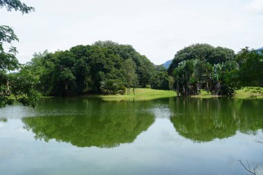 Taiping Gölü Bahçesi, Perak, Malezya manzarası