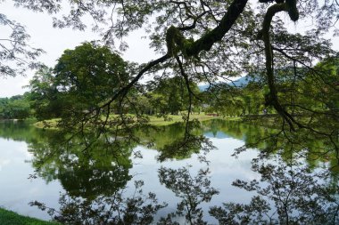 Taiping Gölü Bahçesi, Perak, Malezya manzarası