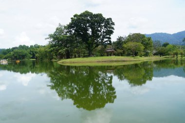 Taiping Gölü Bahçesi, Perak, Malezya manzarası