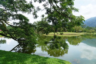 Taiping Gölü Bahçesi, Perak, Malezya manzarası