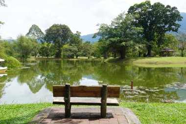 Taiping Gölü Bahçesi, Perak, Malezya manzarası