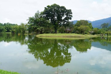 Taiping Gölü Bahçesi, Perak, Malezya manzarası