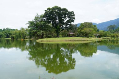 Taiping Gölü Bahçesi, Perak, Malezya manzarası