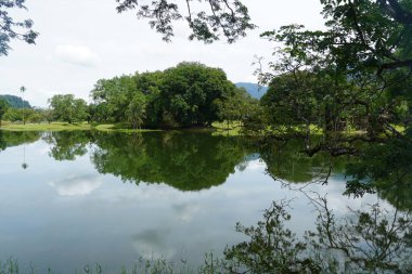 Taiping Gölü Bahçesi, Perak, Malezya manzarası