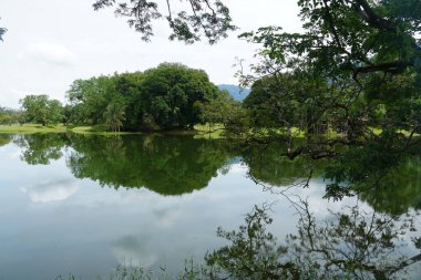 Taiping Gölü Bahçesi, Perak, Malezya manzarası