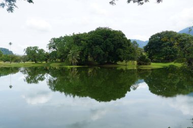 Taiping Gölü Bahçesi, Perak, Malezya manzarası