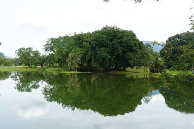 Taiping Gölü Bahçesi, Perak, Malezya manzarası