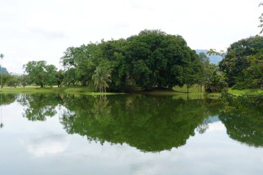 Taiping Gölü Bahçesi, Perak, Malezya manzarası