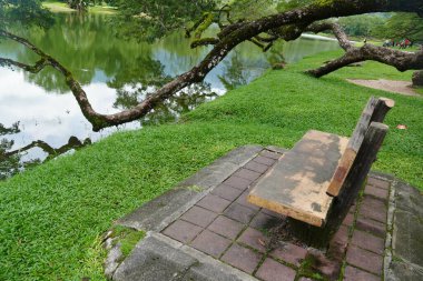 Taiping Gölü Bahçesi, Perak, Malezya manzarası