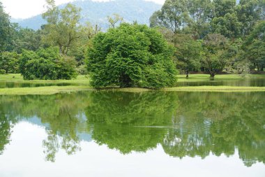 Taiping Gölü Bahçesi, Perak, Malezya manzarası