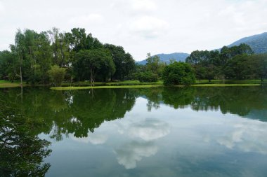 Taiping Gölü Bahçesi, Perak, Malezya manzarası