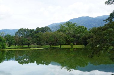 Taiping Gölü Bahçesi, Perak, Malezya manzarası