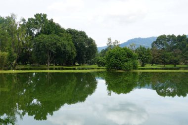 Taiping Gölü Bahçesi, Perak, Malezya manzarası