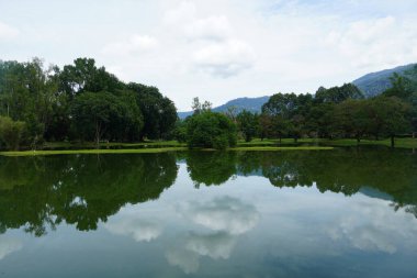 Taiping Gölü Bahçesi, Perak, Malezya manzarası
