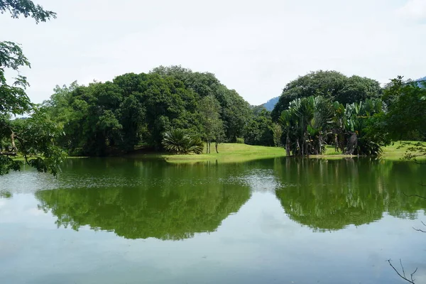 Taiping Gölü Bahçesi, Perak, Malezya manzarası