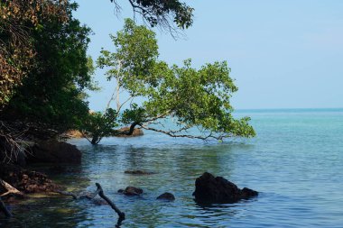 Tanjung Tuan, Port Dickson, Malezya sahilindeki manzara