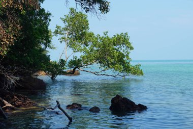 Tanjung Tuan, Port Dickson, Malezya sahilindeki manzara