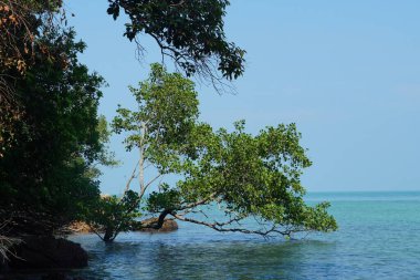 Tanjung Tuan, Port Dickson, Malezya Sahili manzaralı