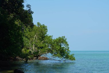 Tanjung Tuan, Port Dickson, Malezya Sahili manzaralı