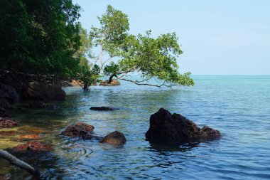 Tanjung Tuan, Port Dickson, Malezya Sahili manzaralı