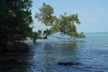 Tanjung Tuan, Port Dickson, Malezya Sahili manzaralı