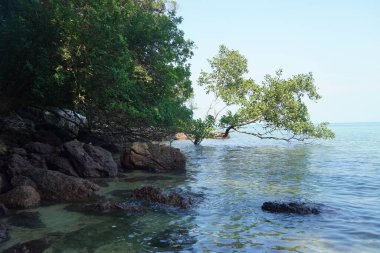Tanjung Tuan, Port Dickson, Malezya Sahili manzaralı
