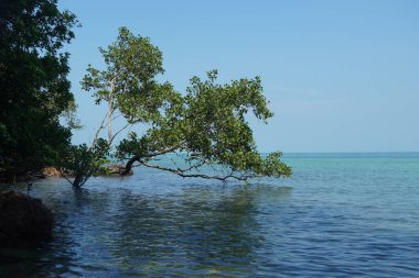 Tanjung Tuan, Port Dickson, Malezya sahilindeki manzara