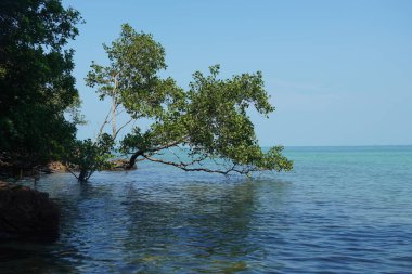 Tanjung Tuan, Port Dickson, Malezya sahilindeki manzara