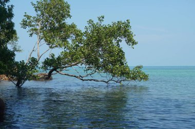 Tanjung Tuan, Port Dickson, Malezya sahilindeki manzara