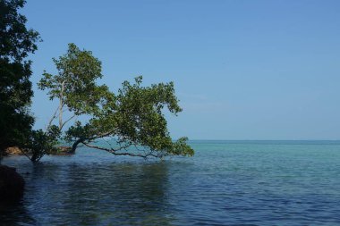 Tanjung Tuan, Port Dickson, Malezya sahilindeki manzara