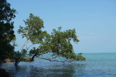 Tanjung Tuan, Port Dickson, Malezya sahilindeki manzara