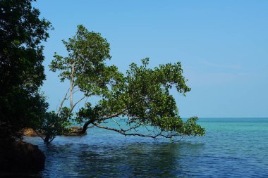 Tanjung Tuan, Port Dickson, Malezya Sahili manzaralı
