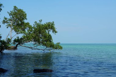 Tanjung Tuan, Port Dickson, Malezya Sahili manzaralı