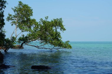 Tanjung Tuan, Port Dickson, Malezya Sahili manzaralı