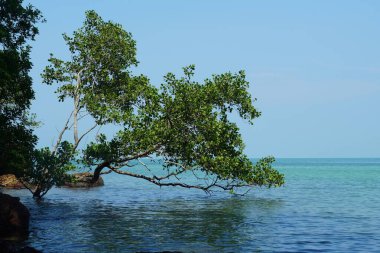 Tanjung Tuan, Port Dickson, Malezya Sahili manzaralı