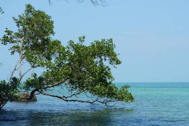 Tanjung Tuan, Port Dickson, Malezya Sahili manzaralı